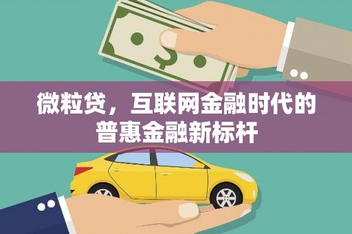 盐田微粒贷，互联网金融时代的普惠金融新标杆