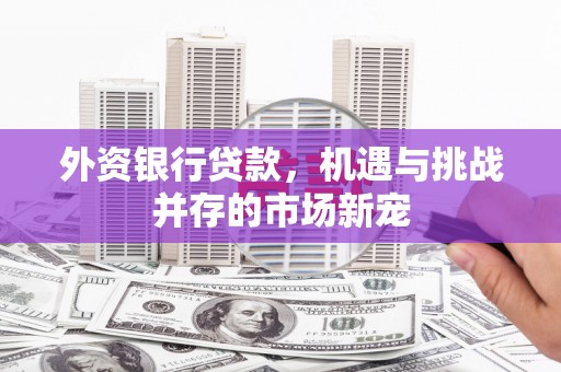 毕节外资银行贷款，机遇与挑战并存的市场新宠
