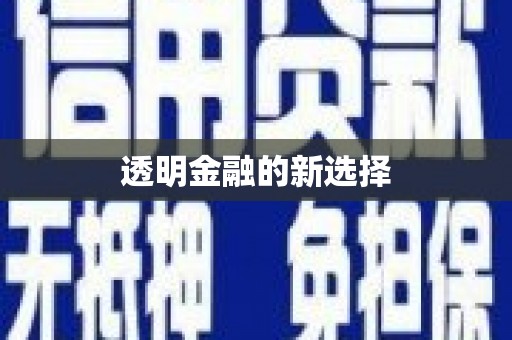 威宁透明金融的新选择