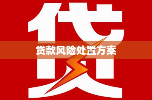 集贤贷款风险处置方案