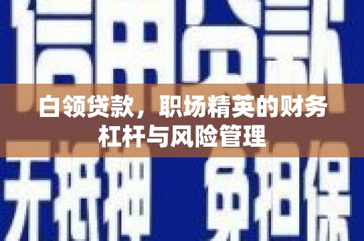 邵武白领贷款，职场精英的财务杠杆与风险管理