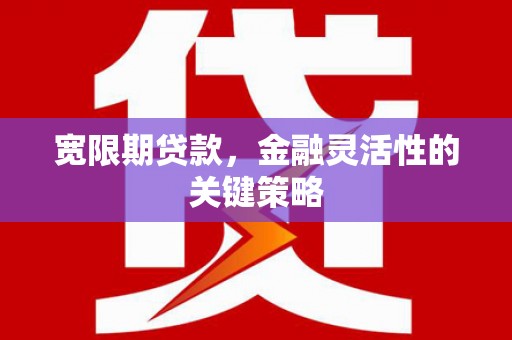 滦南宽限期贷款，金融灵活性的关键策略