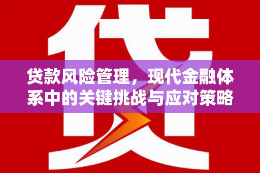 汾阳贷款风险管理，现代金融体系中的关键挑战与应对策略