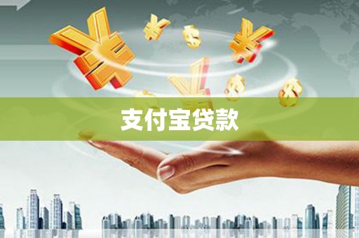 洋县支付宝贷款