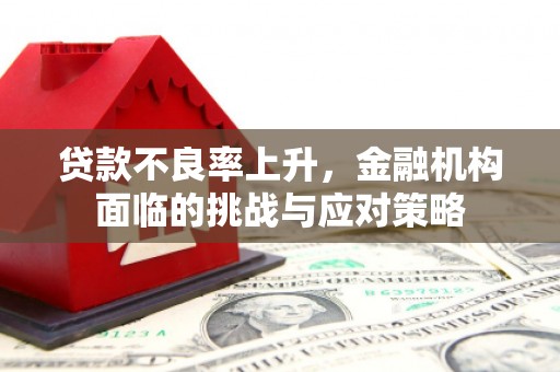 贞丰贷款不良率上升，金融机构面临的挑战与应对策略