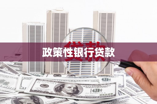 墨江政策性银行贷款
