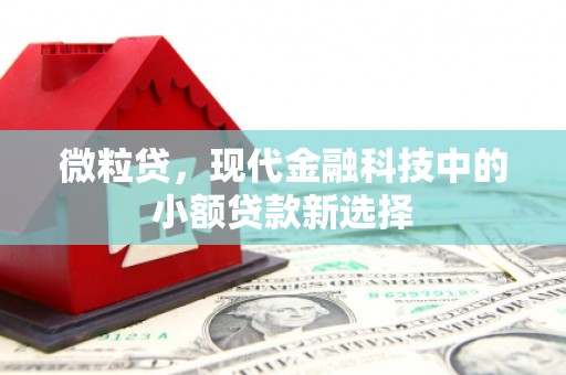 鄱阳微粒贷，现代金融科技中的小额贷款新选择