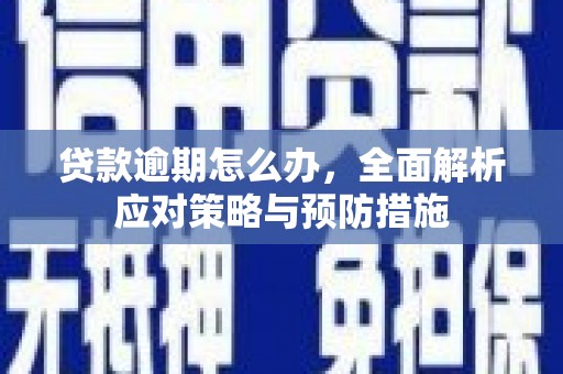伽师贷款逾期怎么办，全面解析应对策略与预防措施