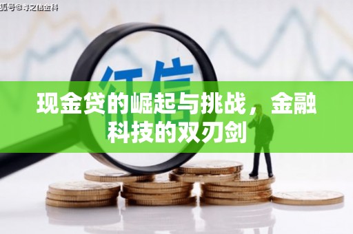 龙游现金贷的崛起与挑战，金融科技的双刃剑