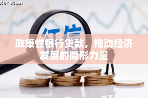 黟县政策性银行贷款，推动经济发展的隐形力量