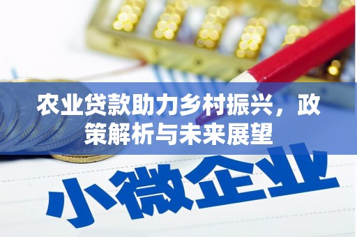 宁夏农业贷款助力乡村振兴，政策解析与未来展望
