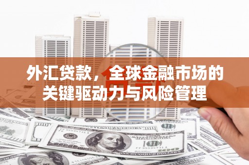 南乐外汇贷款，全球金融市场的关键驱动力与风险管理