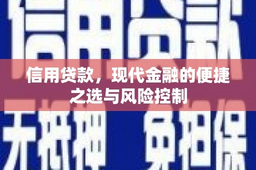 沧源信用贷款，现代金融的便捷之选与风险控制