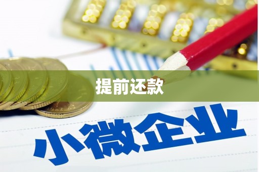 兰西提前还款