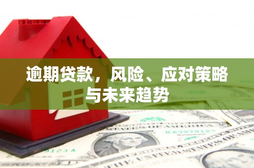 沧县逾期贷款，风险、应对策略与未来趋势