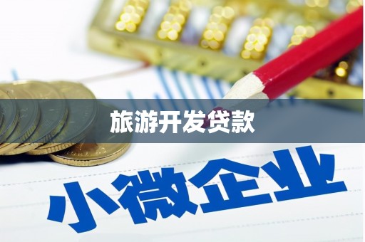 越西旅游开发贷款