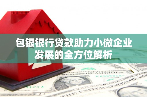 秦淮包银银行贷款助力小微企业发展的全方位解析
