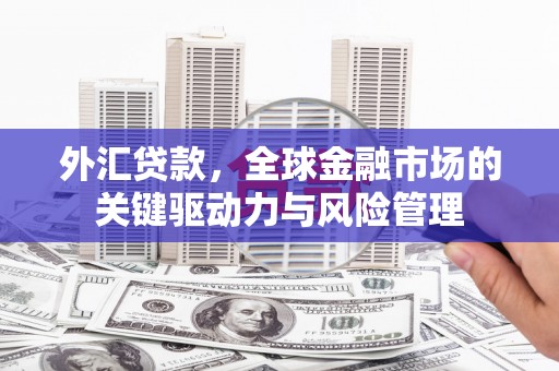白河外汇贷款，全球金融市场的关键驱动力与风险管理