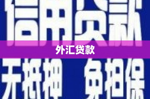 双台子外汇贷款