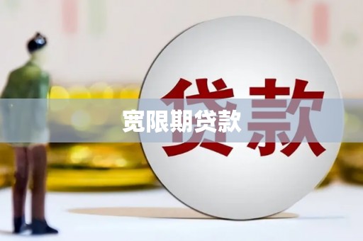 岳麓宽限期贷款