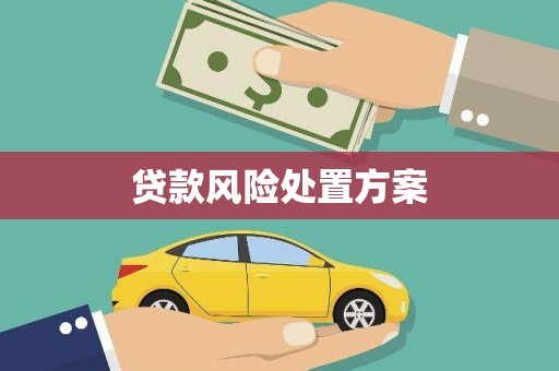 绥滨贷款风险处置方案