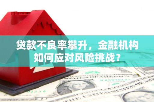 龙凤贷款不良率攀升，金融机构如何应对风险挑战？
