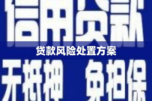 横山贷款风险处置方案