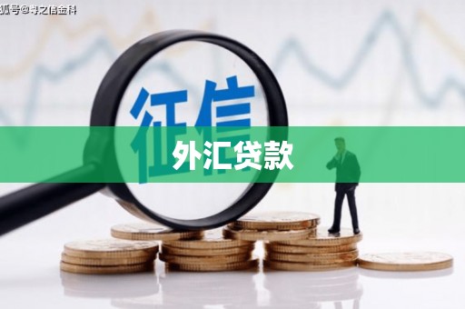 茂南外汇贷款