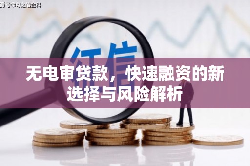响水无电审贷款，快速融资的新选择与风险解析