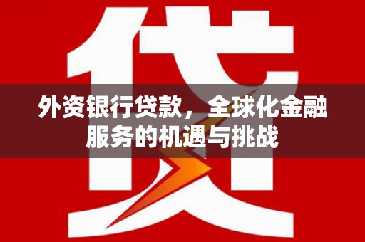 昌都外资银行贷款，全球化金融服务的机遇与挑战