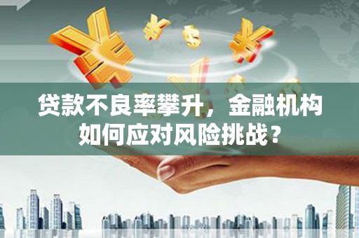 高邮贷款不良率攀升，金融机构如何应对风险挑战？