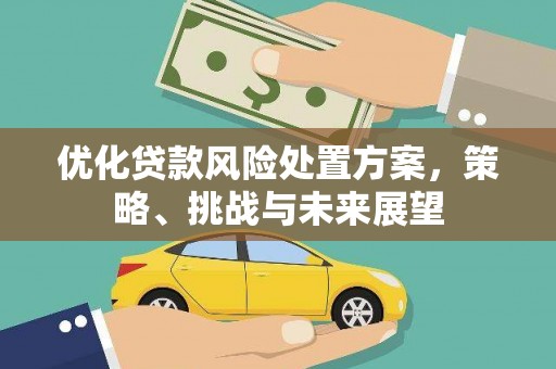 新抚优化贷款风险处置方案，策略、挑战与未来展望