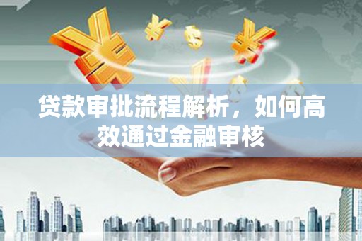 津市贷款审批流程解析，如何高效通过金融审核