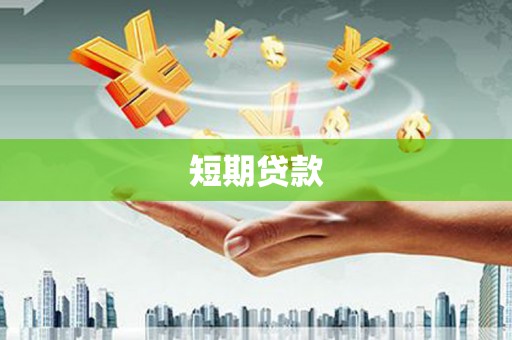 卧龙短期贷款