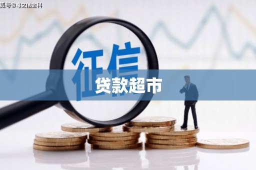 乐至贷款超市