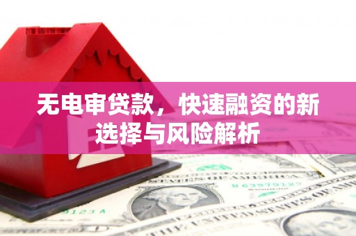 瑞穗无电审贷款，快速融资的新选择与风险解析