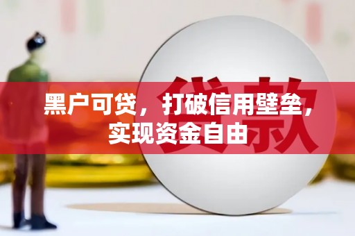 桃山黑户可贷，打破信用壁垒，实现资金自由