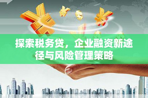 苍梧探索税务贷，企业融资新途径与风险管理策略