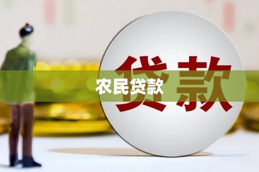 宝兴农民贷款