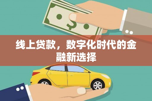 西区线上贷款，数字化时代的金融新选择