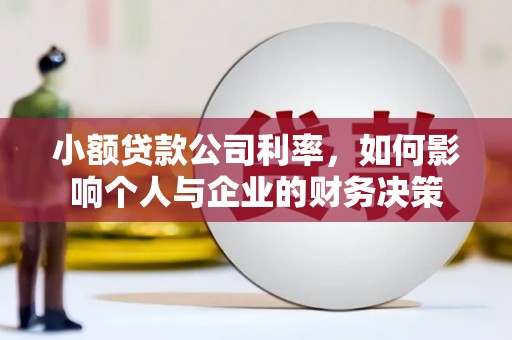 文县小额贷款公司利率，如何影响个人与企业的财务决策
