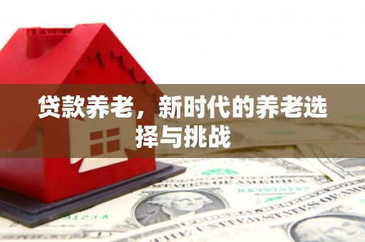 茂南贷款养老，新时代的养老选择与挑战