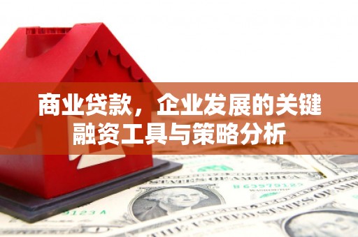 吴兴商业贷款，企业发展的关键融资工具与策略分析