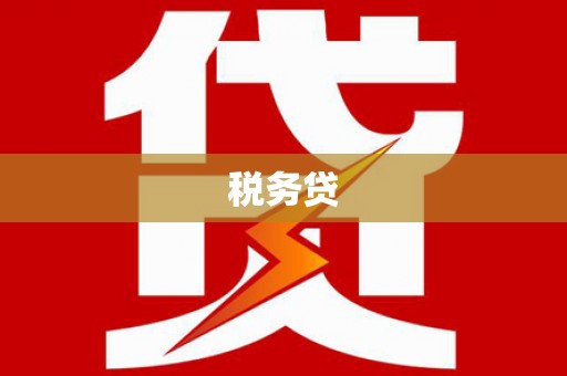 大村税务贷