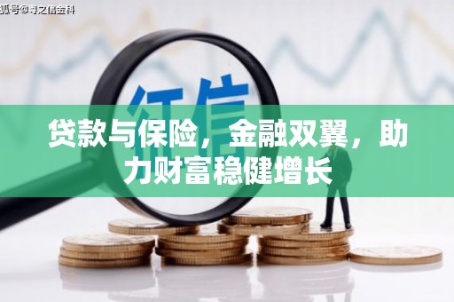 芦山贷款与保险，金融双翼，助力财富稳健增长