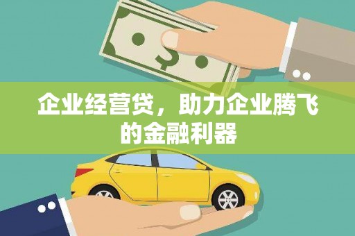 滨海企业经营贷，助力企业腾飞的金融利器
