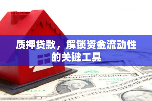 东宝质押贷款，解锁资金流动性的关键工具