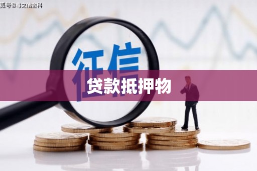 梁山贷款抵押物