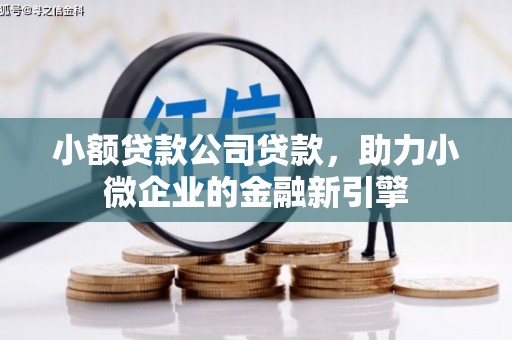 梁平小额贷款公司贷款，助力小微企业的金融新引擎