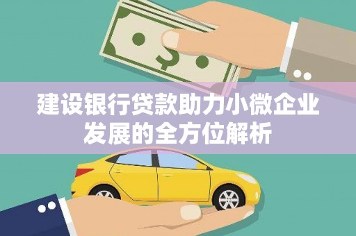 新蔡建设银行贷款助力小微企业发展的全方位解析